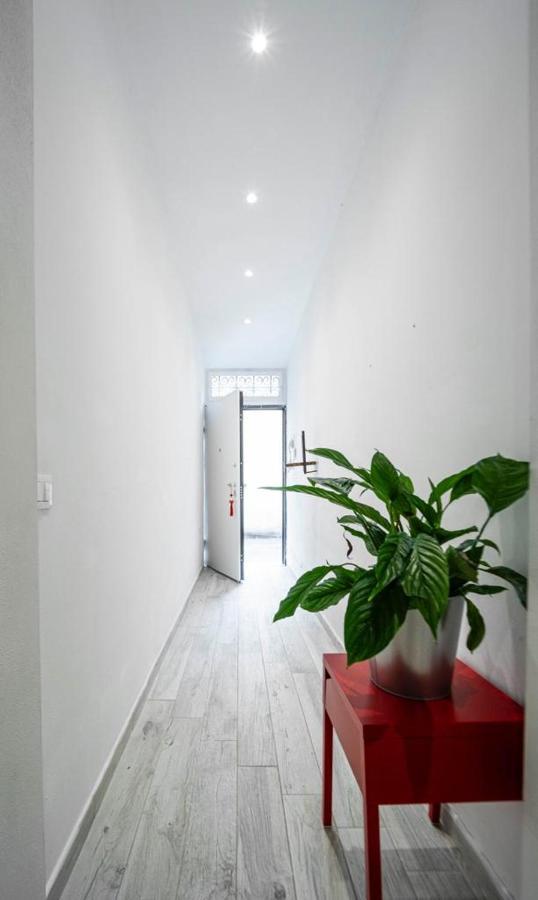 Puccinotti House Lejlighed Firenze Eksteriør billede